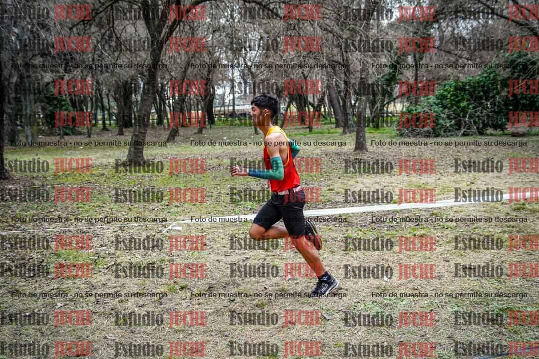 Fotos en el circuito