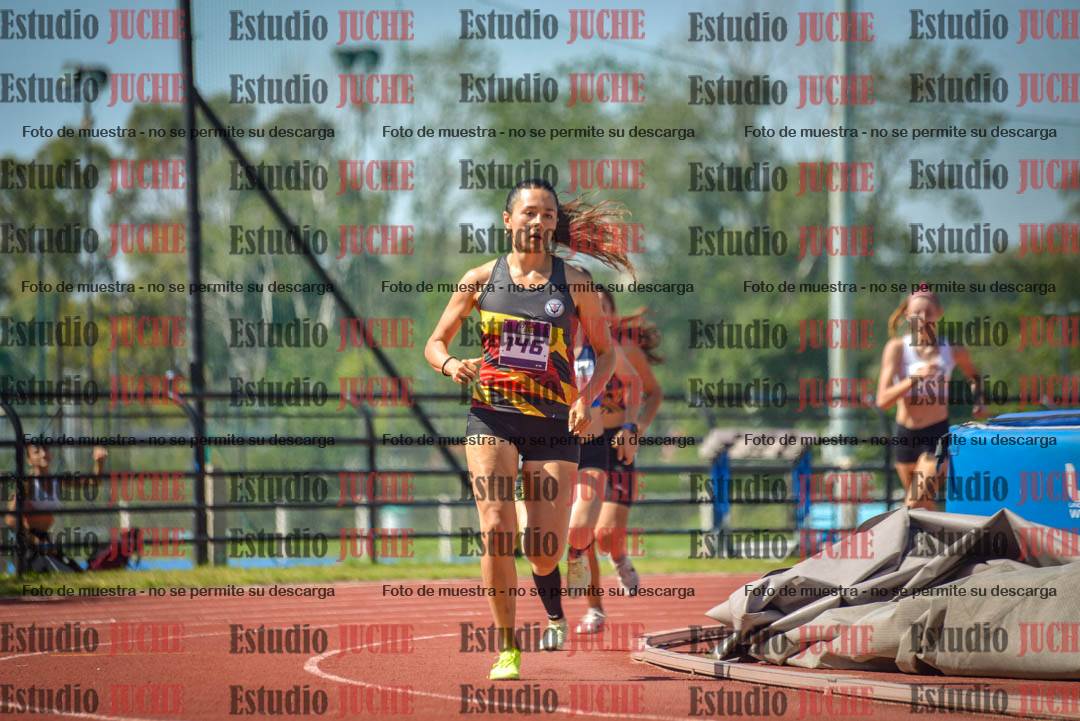 Fotos de los 800 m llanos de mujeres