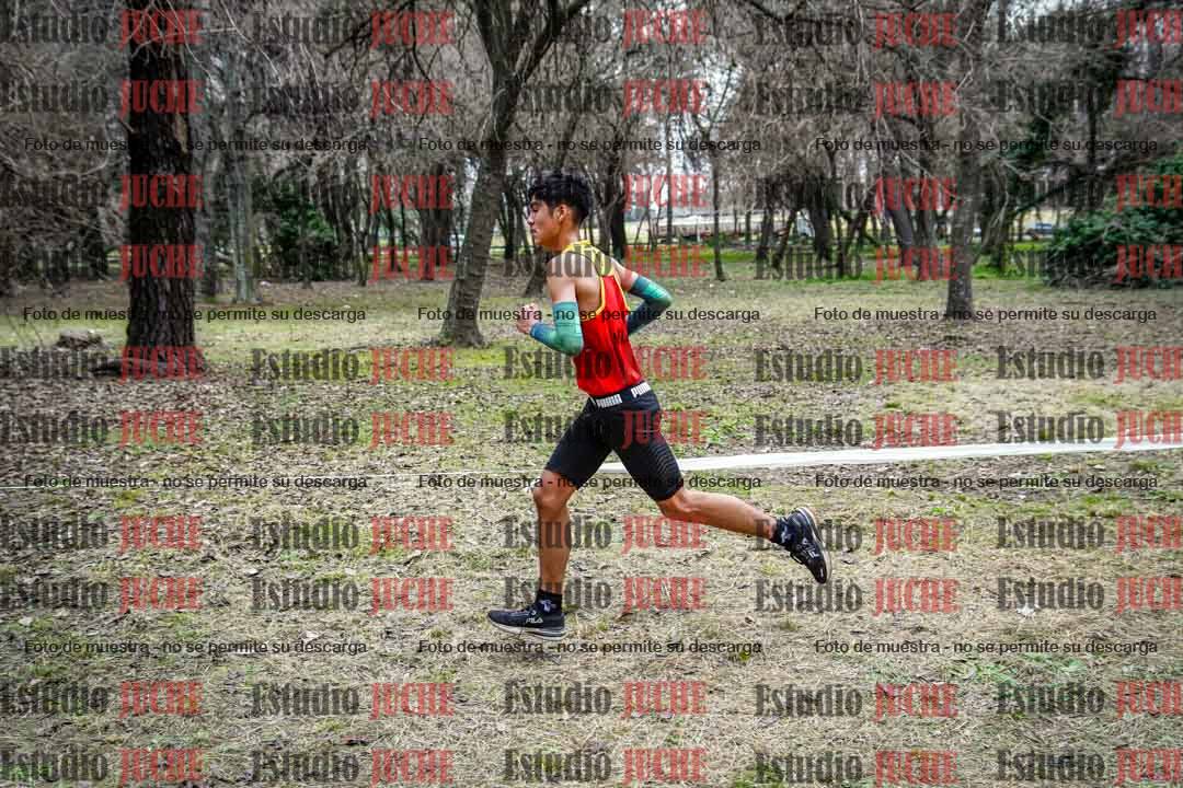Fotos en el circuito
