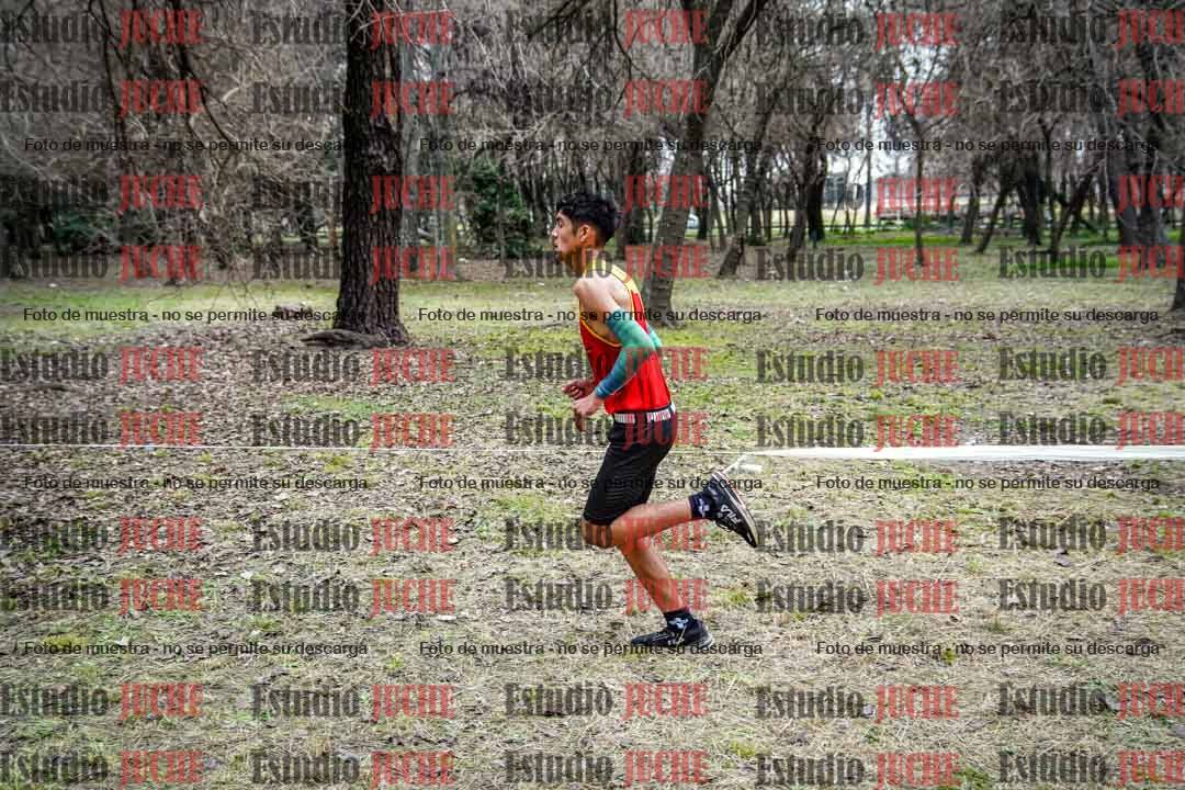 Fotos en el circuito