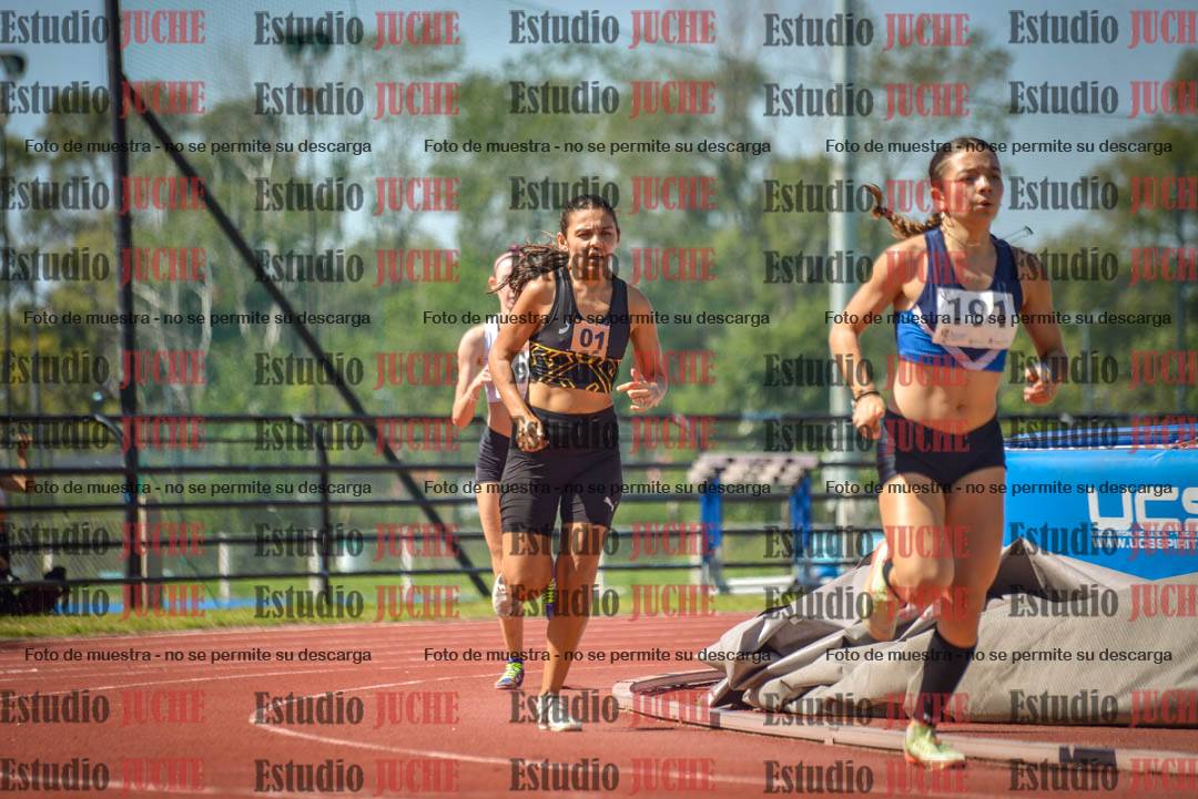 Fotos de los 800 m llanos de mujeres