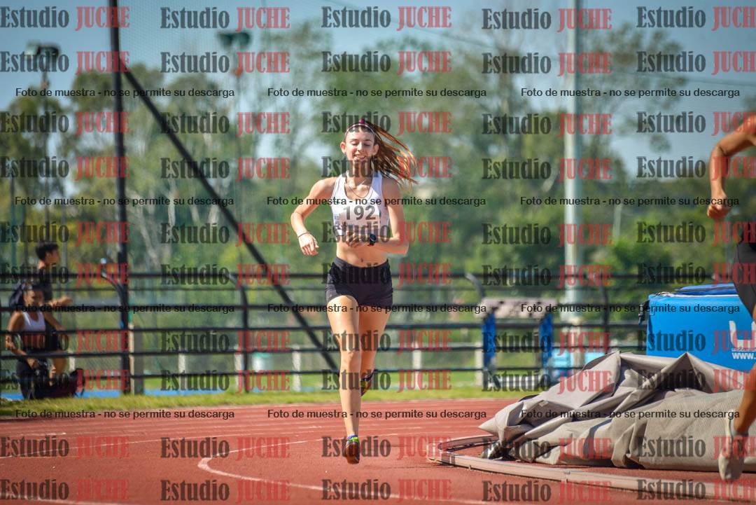 Fotos de los 800 m llanos de mujeres