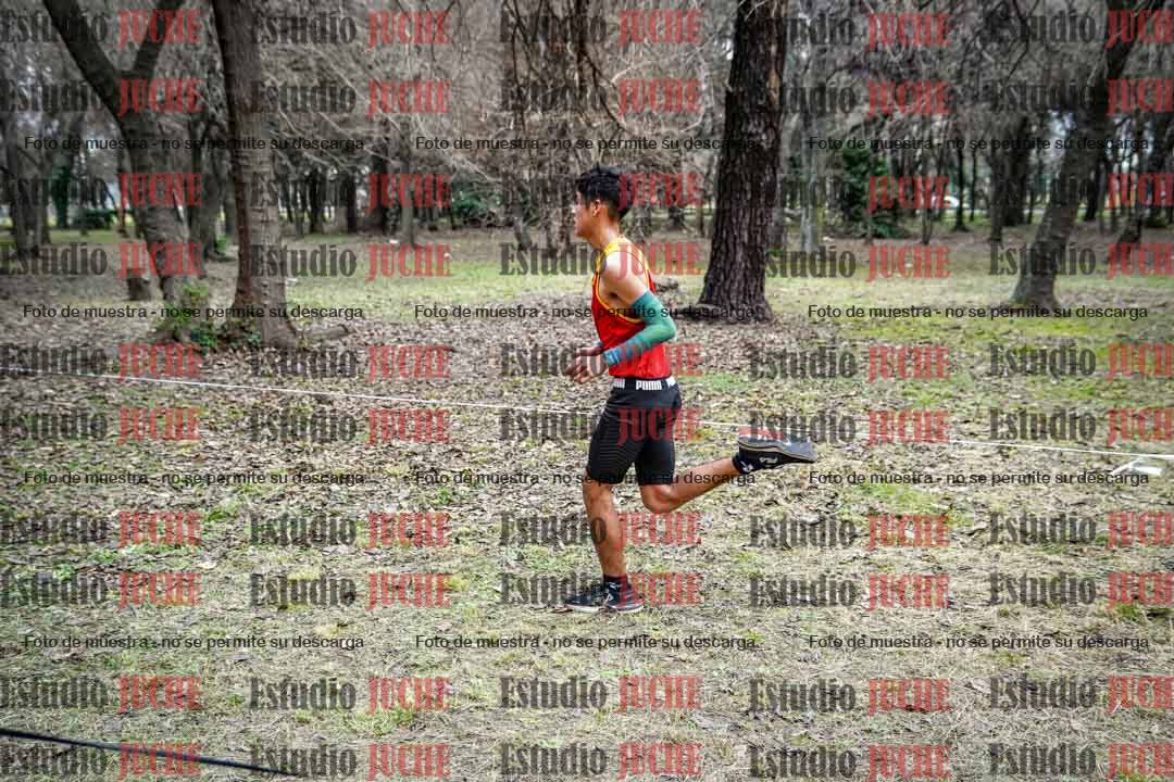 Fotos en el circuito