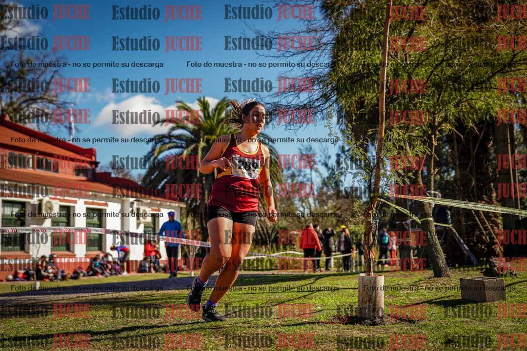 Fotos en el quinto punto del circuito