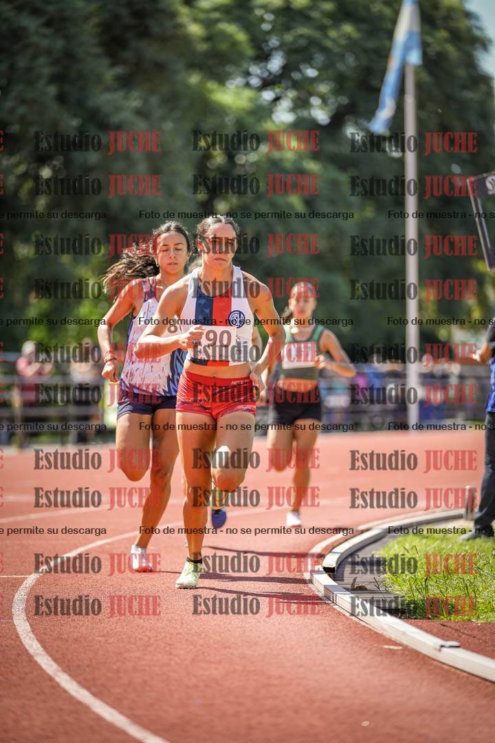 Fotos de los 800 m llanos de mujeres