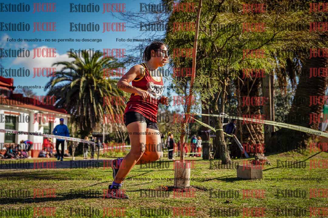 Fotos en el quinto punto del circuito