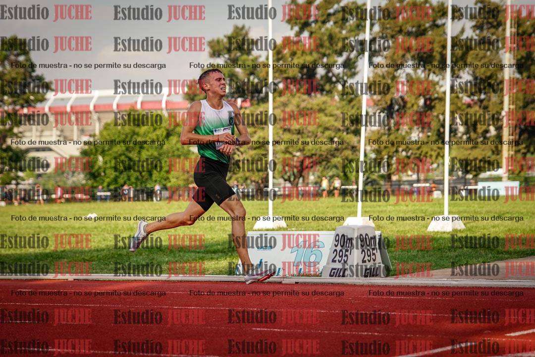 Fotos de los 3000 m llanos de varones