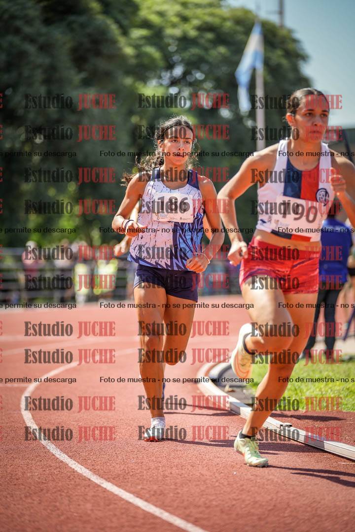 Fotos de los 800 m llanos de mujeres
