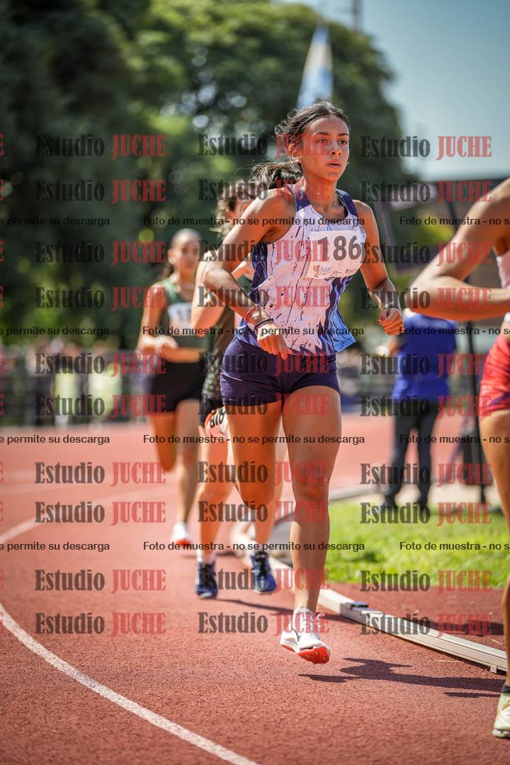 Fotos de los 800 m llanos de mujeres