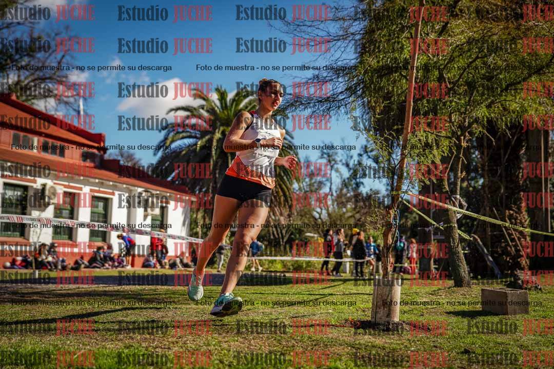 Fotos en el quinto punto del circuito