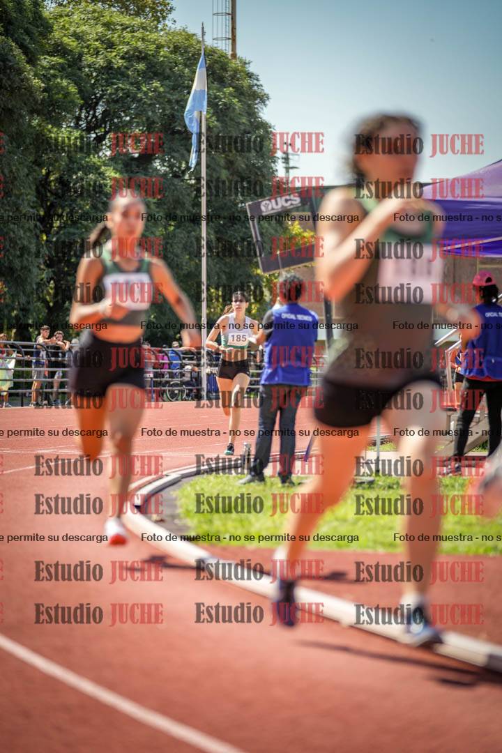 Fotos de los 800 m llanos de mujeres