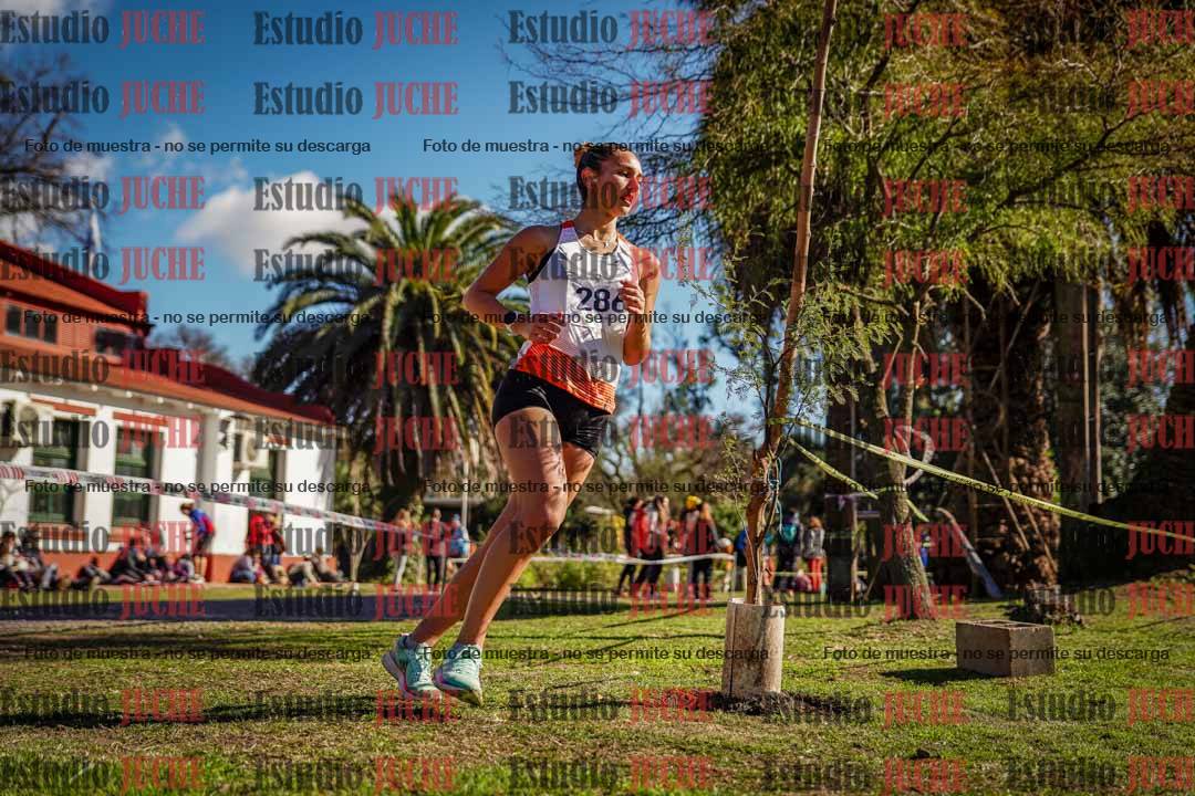 Fotos en el quinto punto del circuito