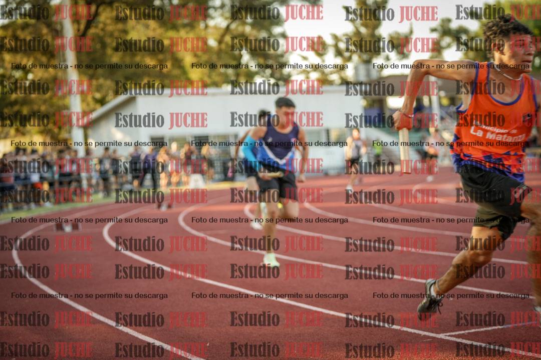 Fotos de las Postas 4x100 m de varones