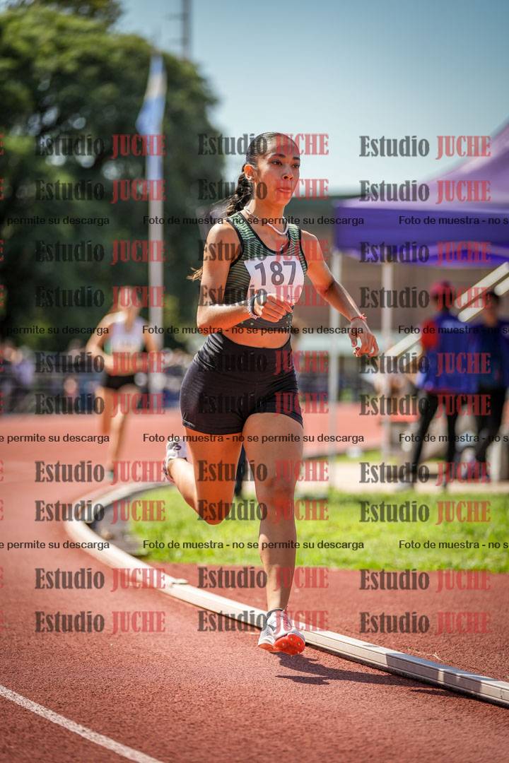 Fotos de los 800 m llanos de mujeres