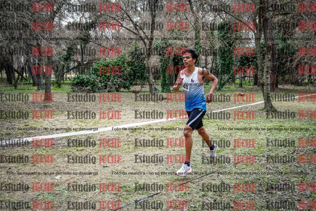 Fotos en el circuito