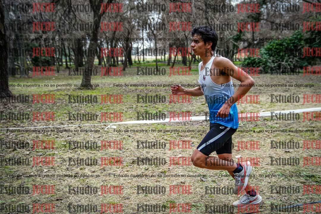 Fotos en el circuito