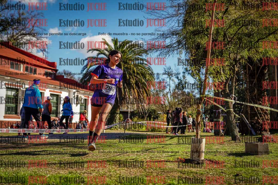 Fotos en el quinto punto del circuito