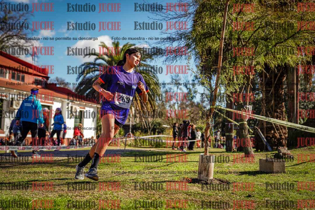 Fotos en el quinto punto del circuito
