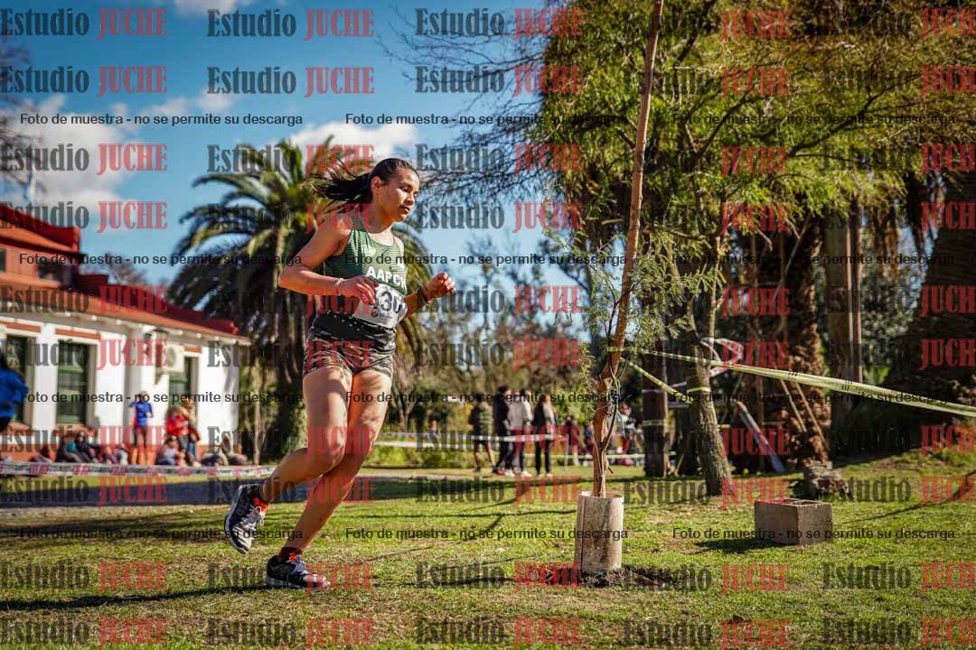 Fotos en el quinto punto del circuito