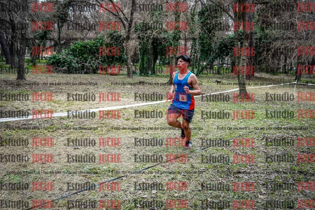 Fotos en el circuito