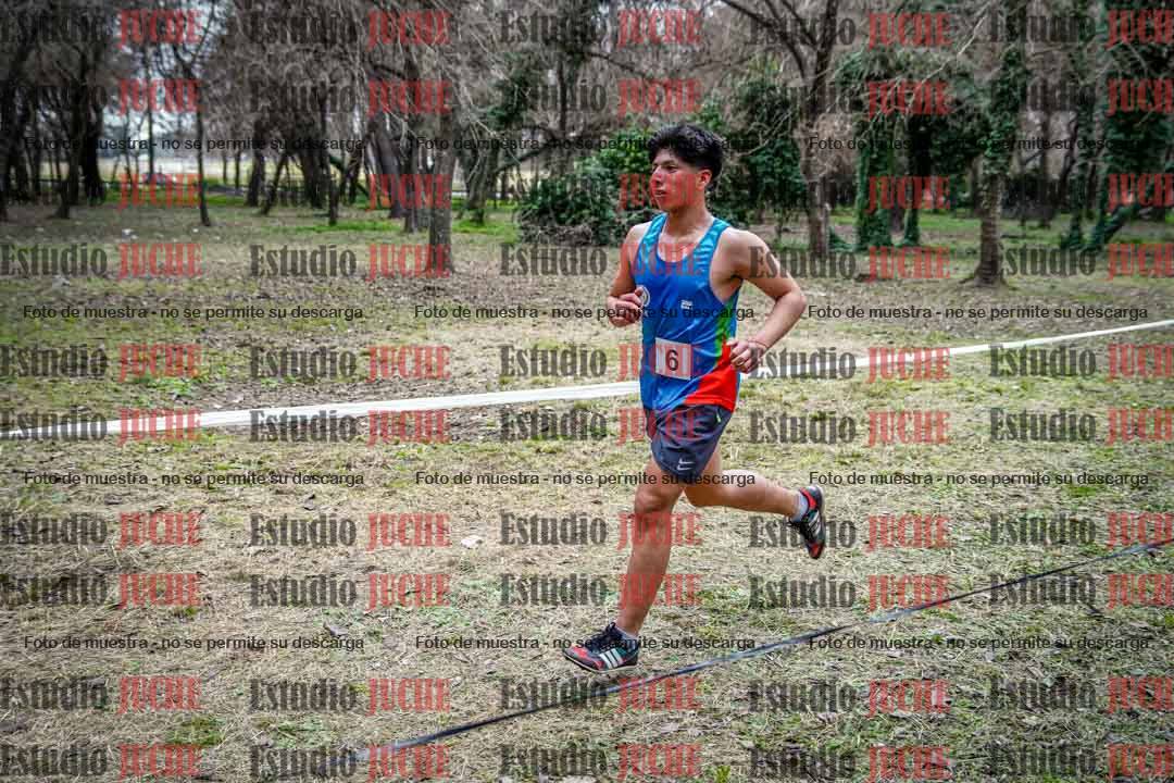 Fotos en el circuito