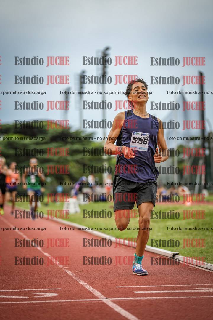 Fotos de los 3000 m llanos de varones