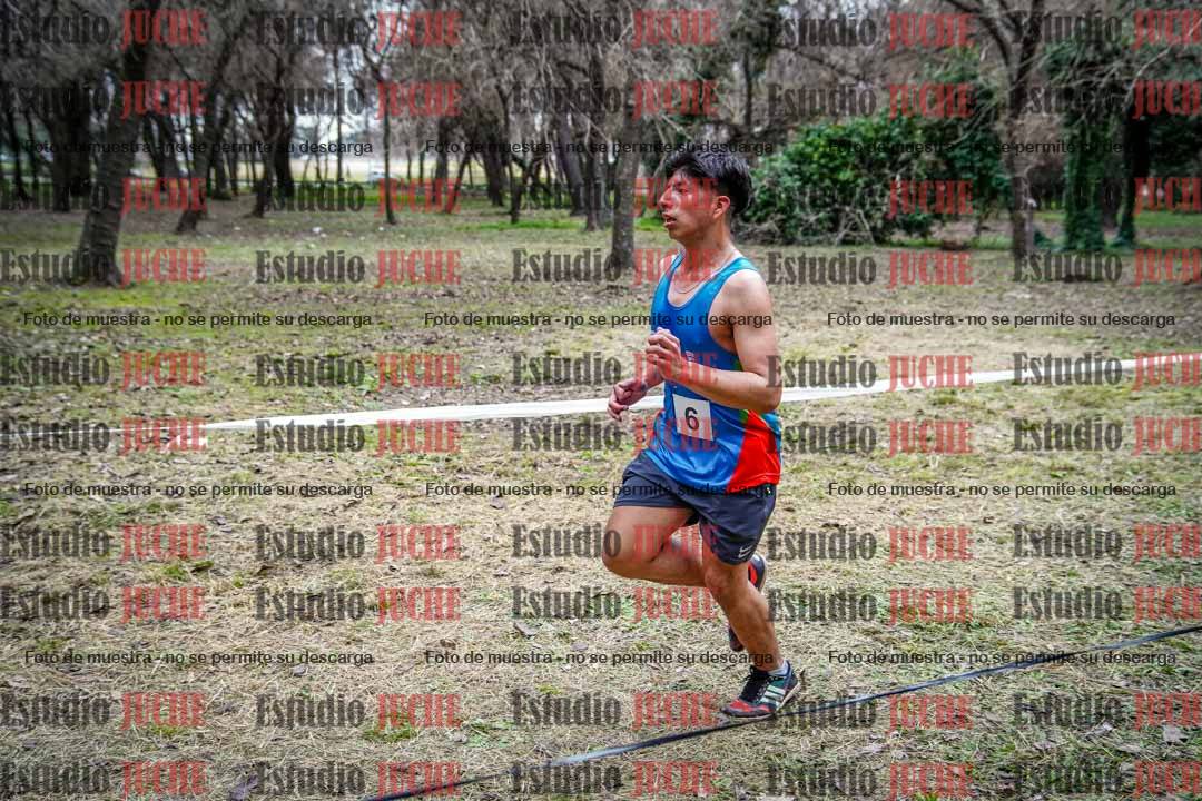 Fotos en el circuito