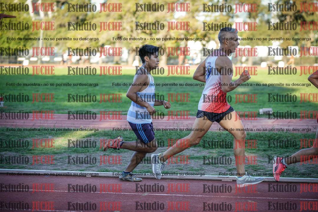Fotos de los 3000 m llanos de varones