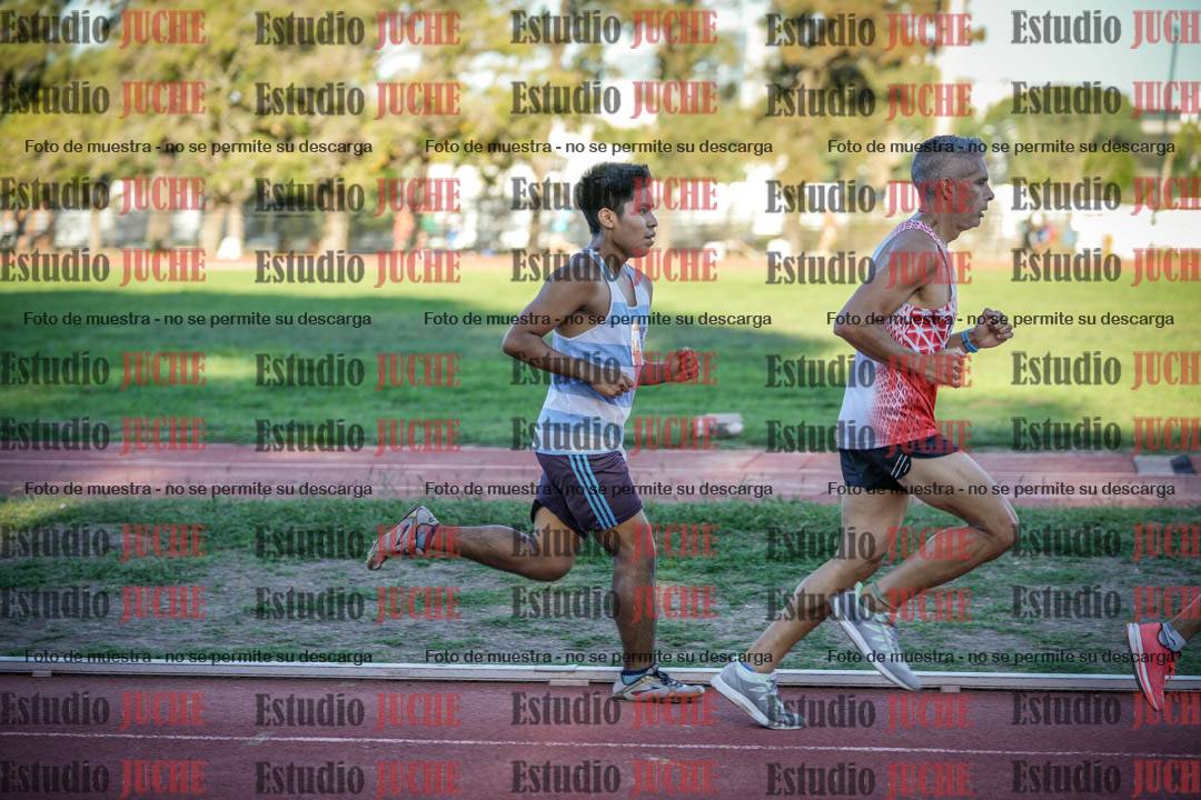 Fotos de los 3000 m llanos de varones