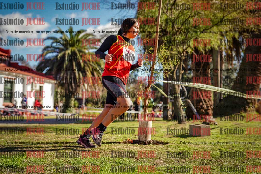 Fotos en el quinto punto del circuito
