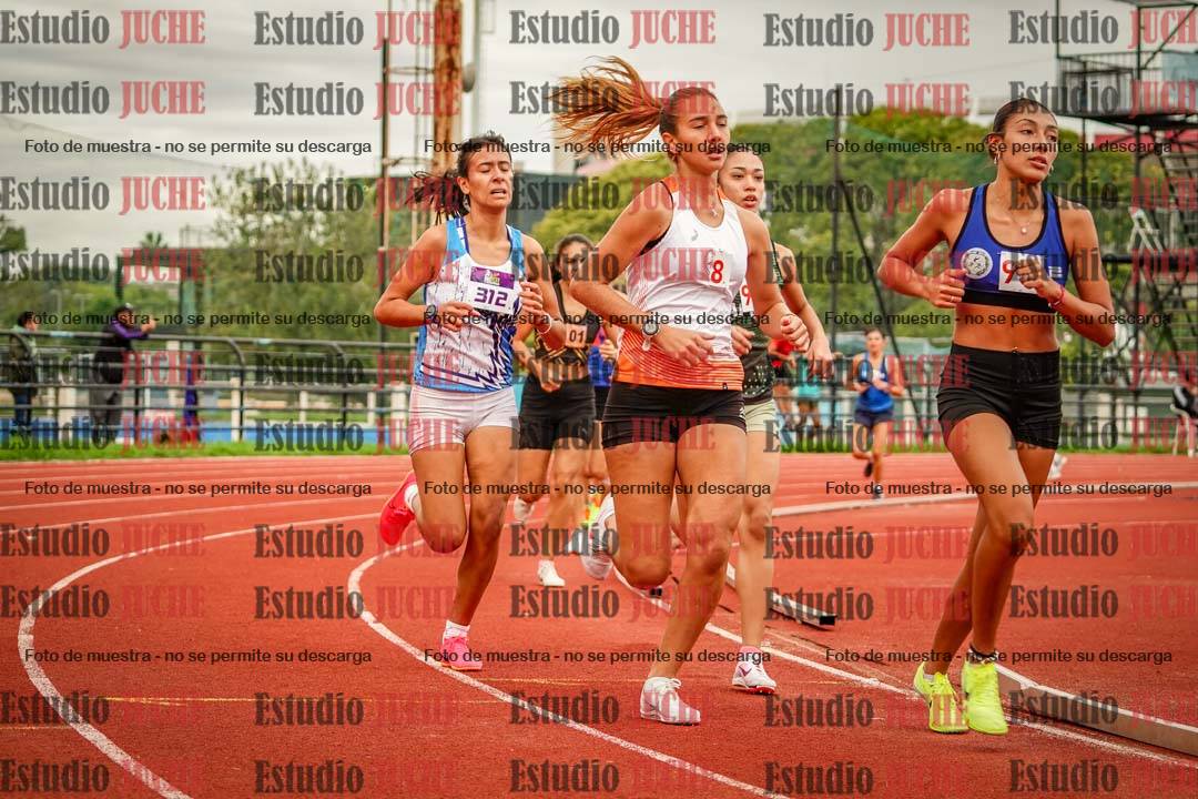 Fotos de los 1500 m llanos de mujeres