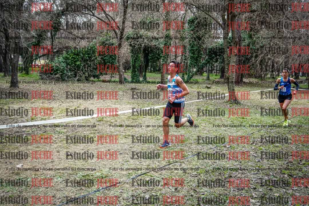 Fotos en el circuito