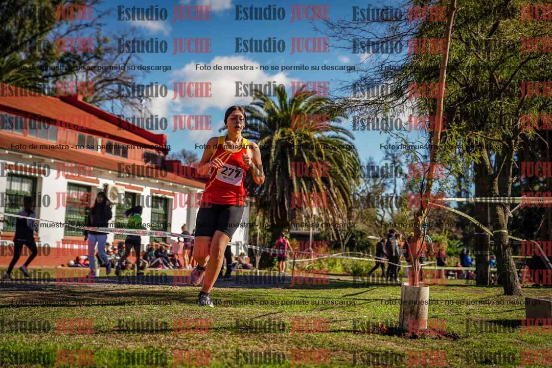 Fotos en el quinto punto del circuito