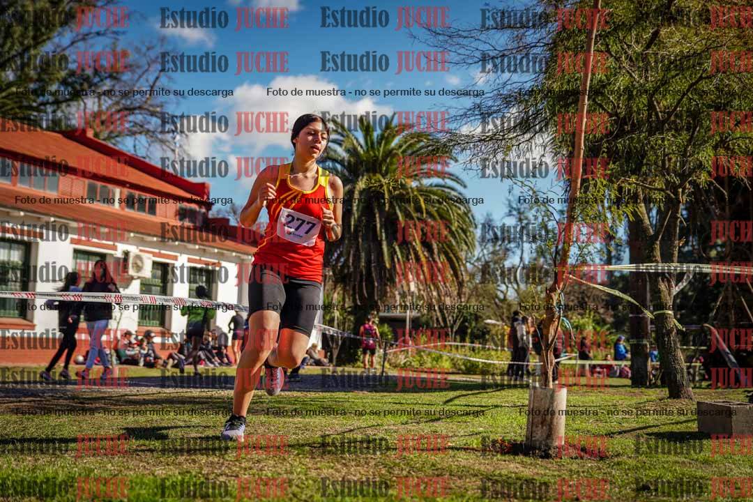Fotos en el quinto punto del circuito