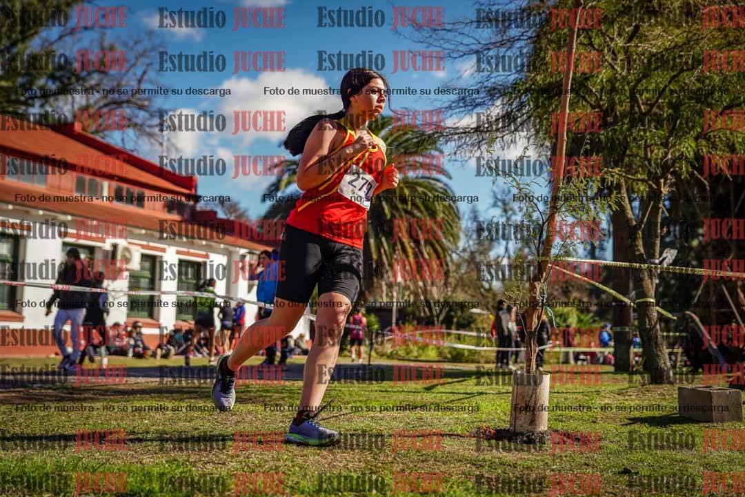 Fotos en el quinto punto del circuito