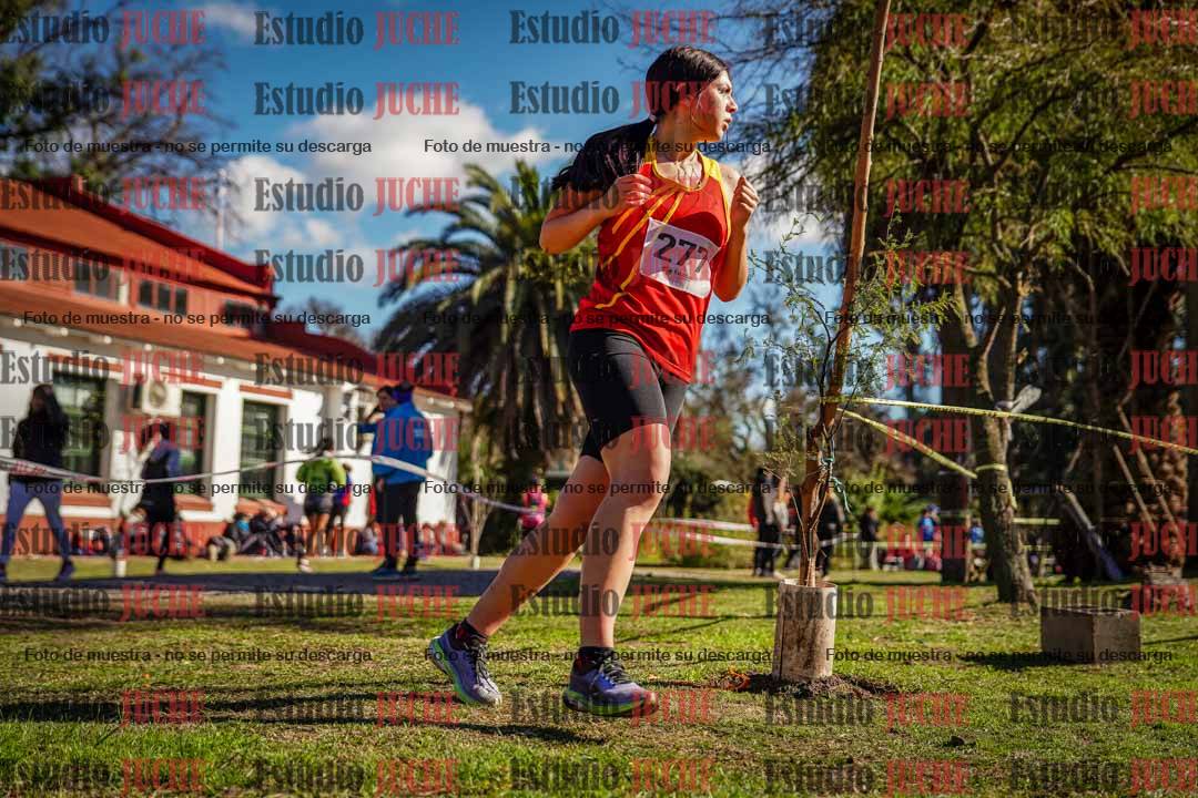 Fotos en el quinto punto del circuito