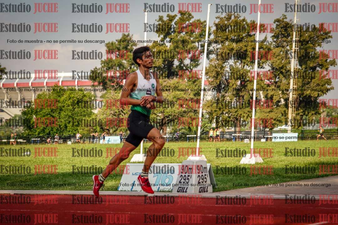 Fotos de los 3000 m llanos de varones