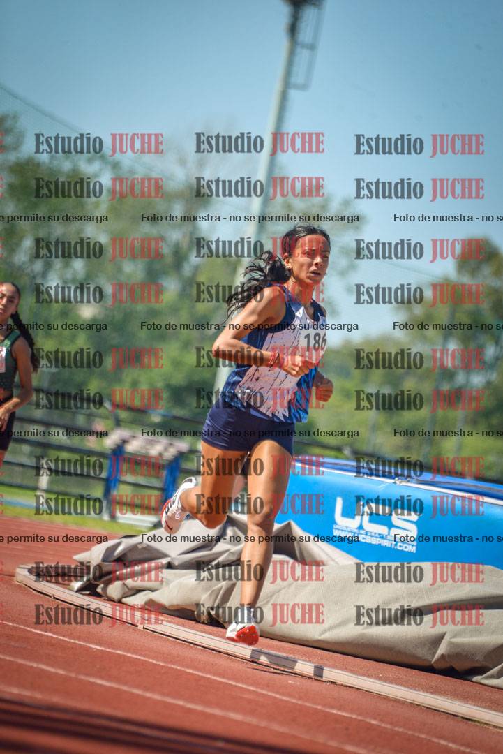 Fotos de los 800 m llanos de mujeres
