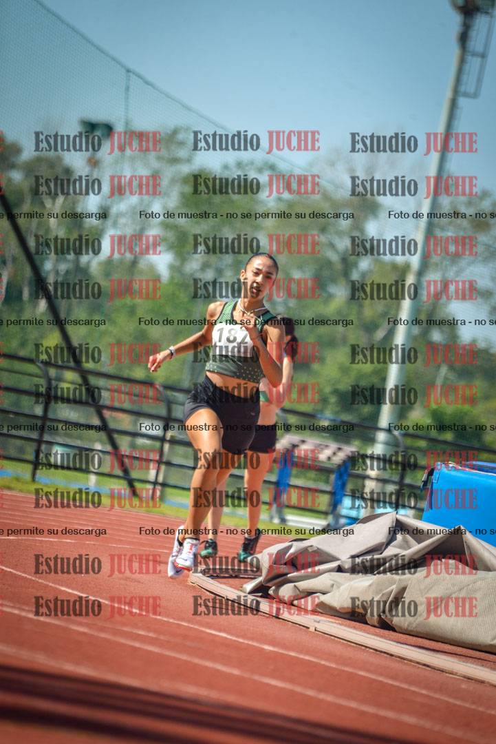 Fotos de los 800 m llanos de mujeres