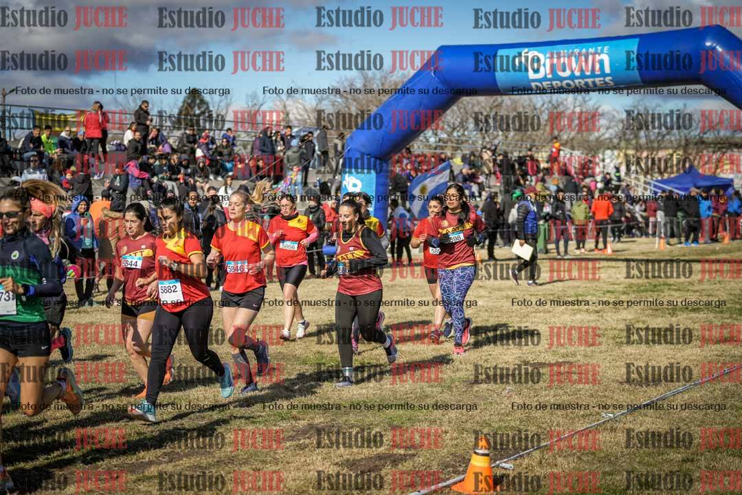 Fotos en de la largada