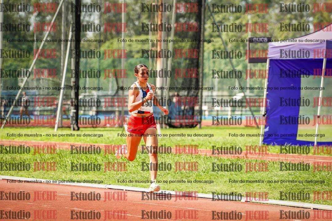 Fotos de los 800 m llanos de mujeres