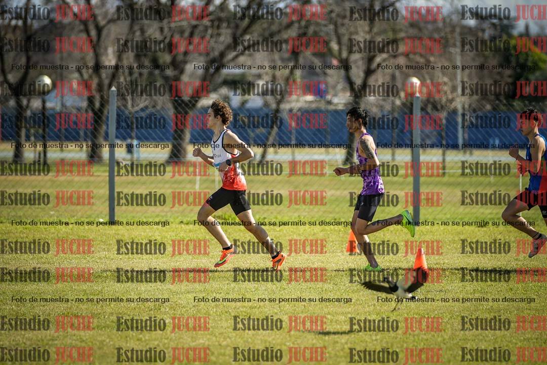 Fotos en de la largada
