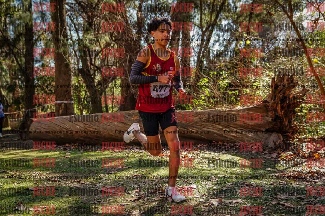 Fotos en el primer punto del circuito