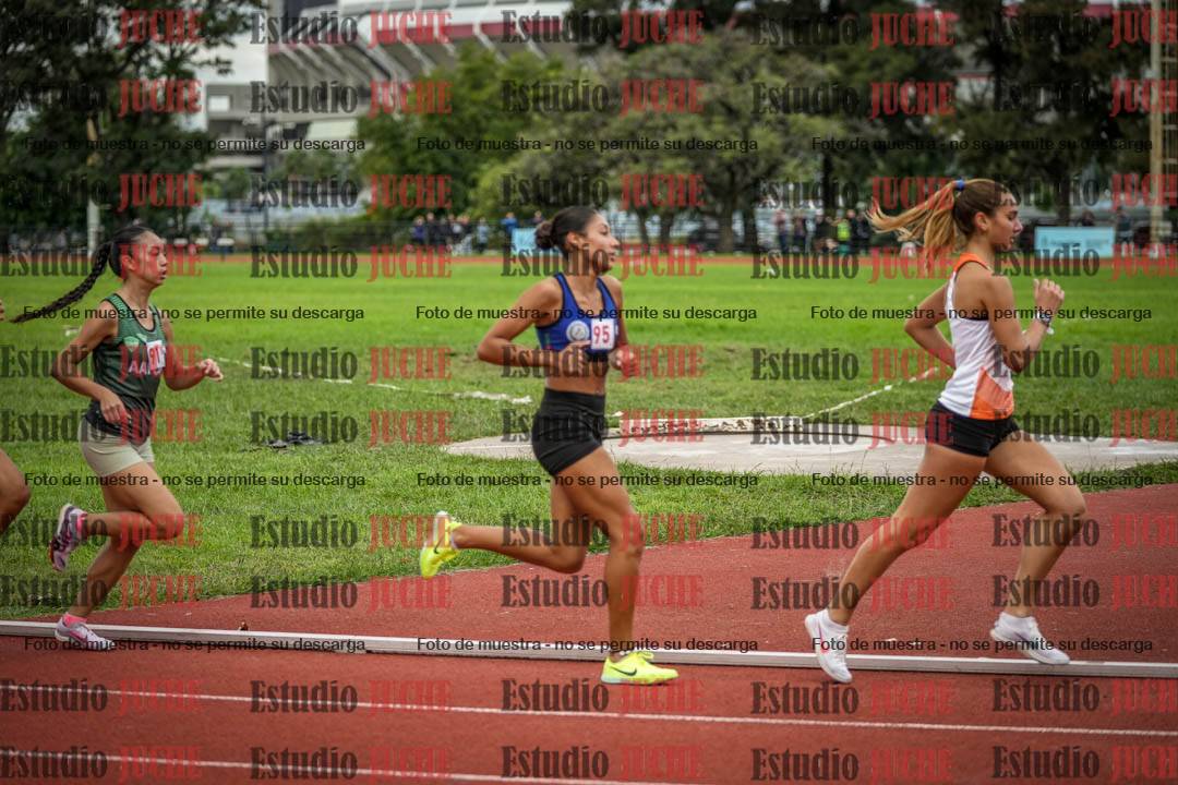 Fotos de los 1500 m llanos de mujeres