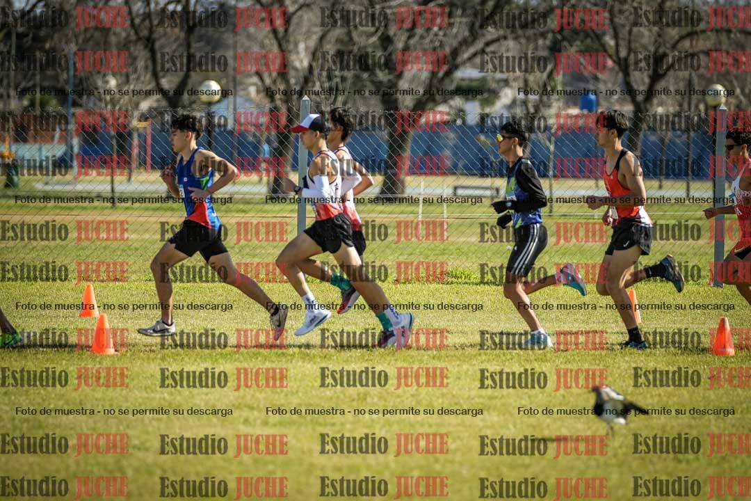 Fotos en de la largada