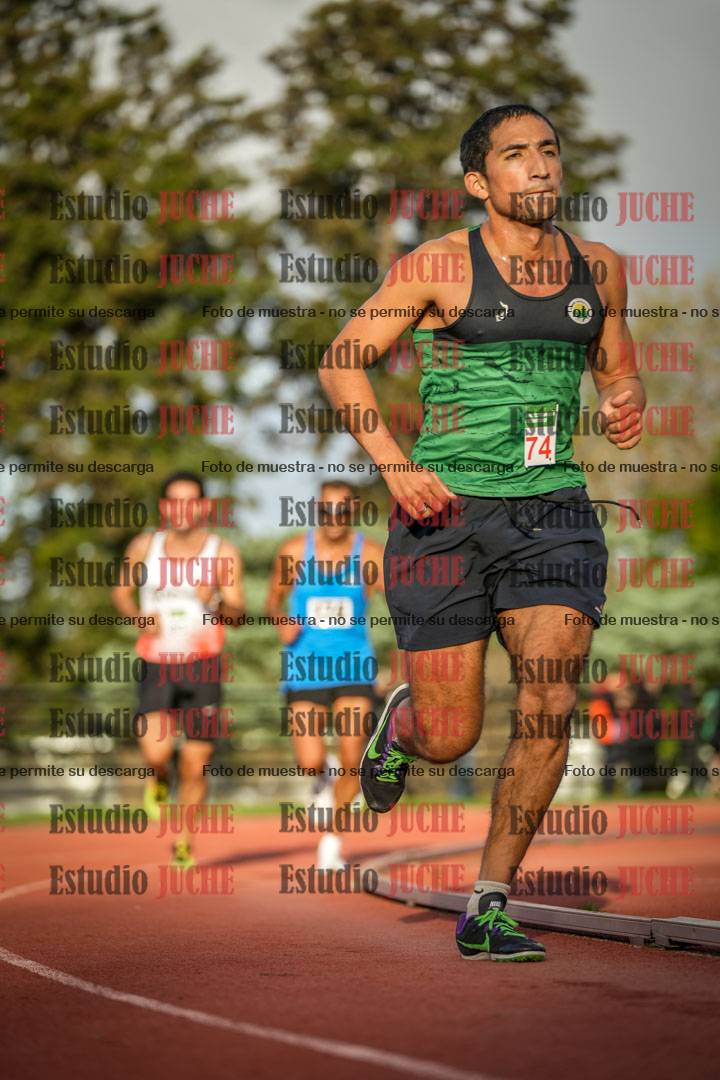 Fotos de los 3000 m llanos de varones