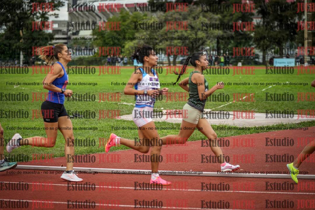 Fotos de los 1500 m llanos de mujeres