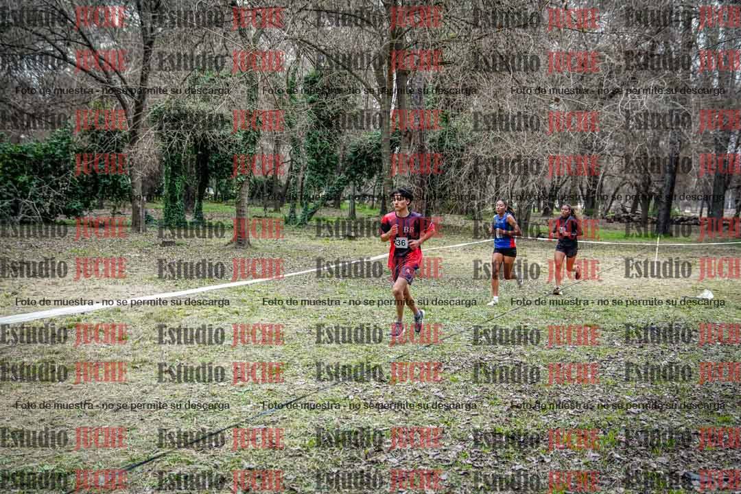 Fotos en el circuito