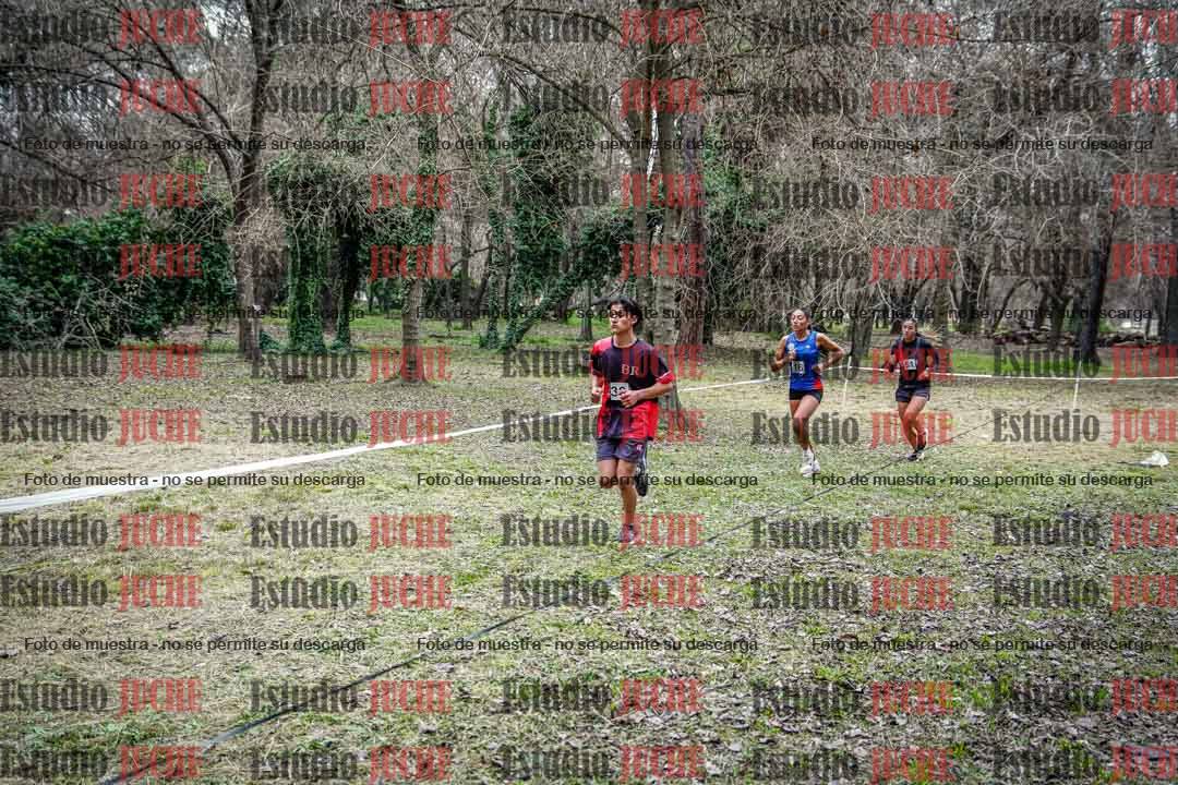 Fotos en el circuito