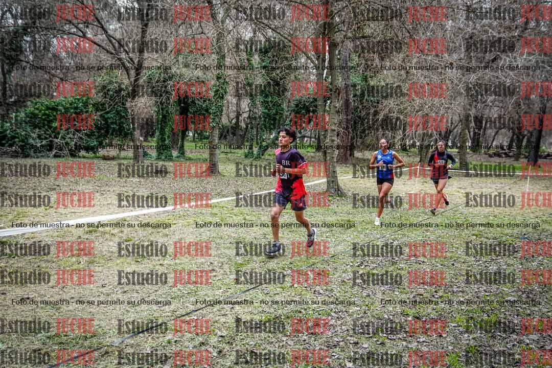 Fotos en el circuito